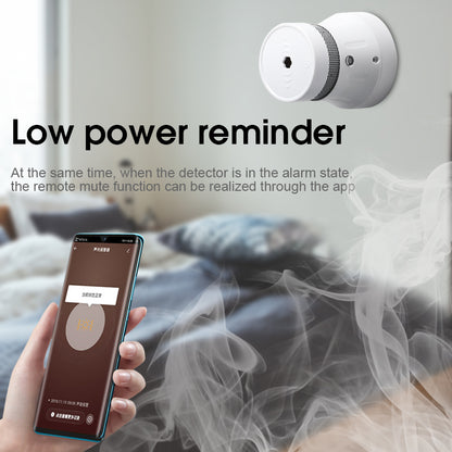 Wireless Smart Fire Smoke Alarm Sensor