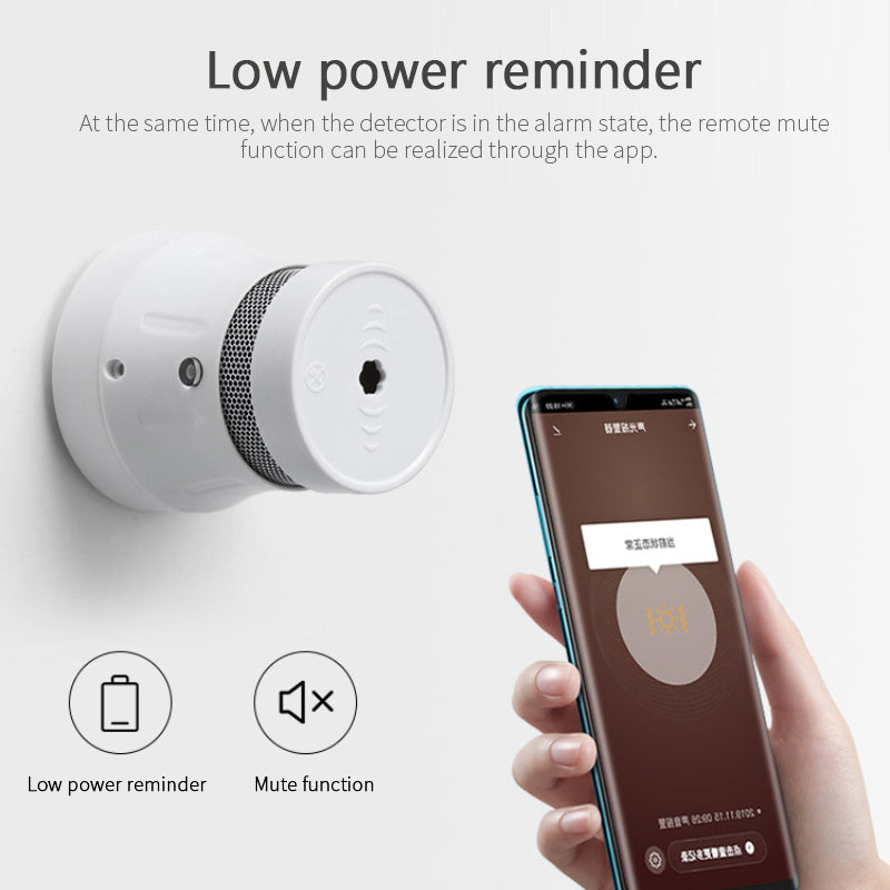 Wireless Smart Fire Smoke Alarm Sensor